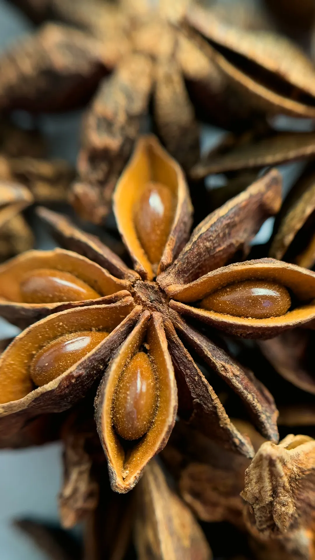 Close-up of star anise